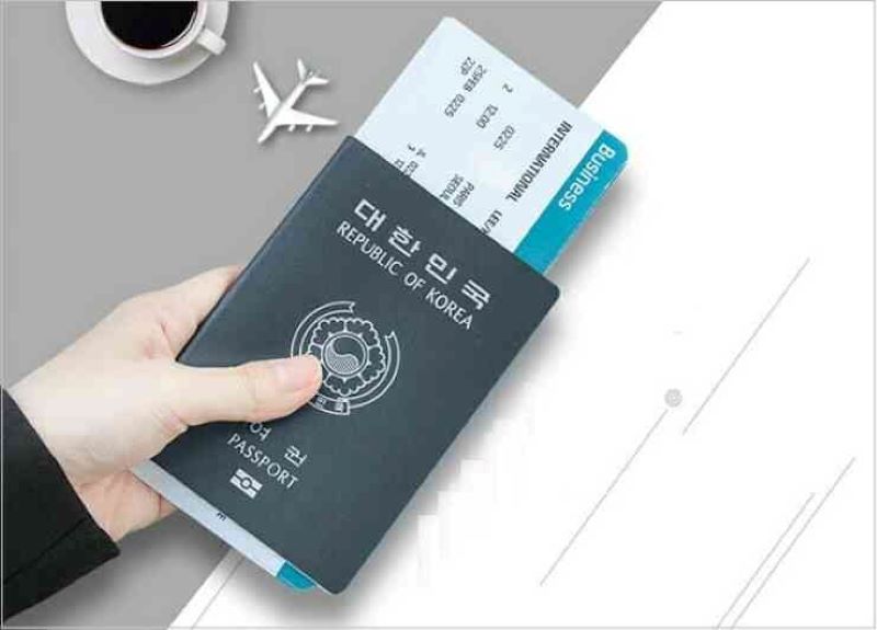 visa e7