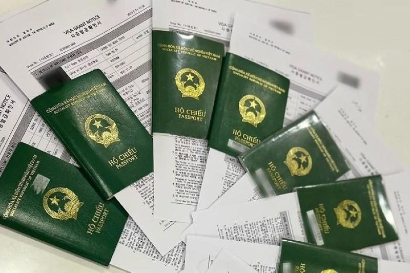 visa f3 hàn quốc là gì